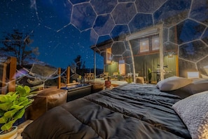 Enjoy this one-of-a-kind experience as you watch the stars put on a show!