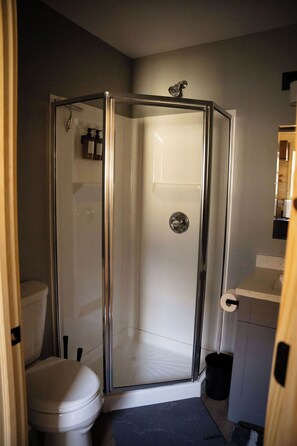 Bathroom with a walk in shower