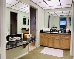 Master Bathroom and Walk In Closet