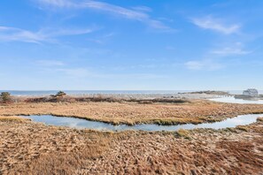 View of the Saratoga Creek