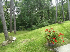 Autumn, Garden, Spring, Summer