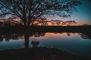 D S C00778