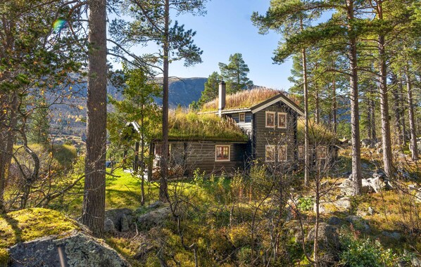 Exteriör