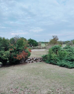 The backyard view 