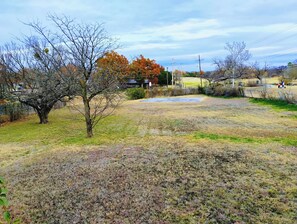 The view of the backyard