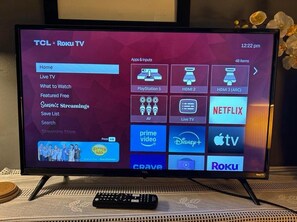 Television