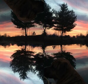 Nature’s beauty is abound.