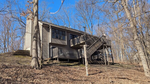 Back of house, looking up from the woods