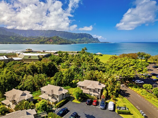 Ariel View of Ocean Proximity to our Villa.