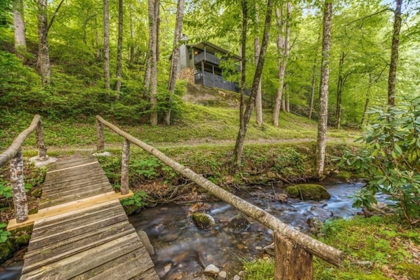 Embrace the serenity of nature as you walk across this charming wooden bridge over a gentle stream.