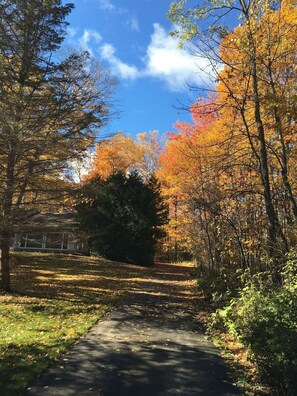 Secluded & Quiet 2.5 Acre Wooded Property