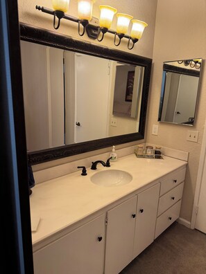 Downstairs master bathroom