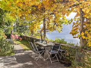 Pflanze, Wasser, Blatt, Natürliche Landschaft, Tabelle, Ast, Holz, Schatten, Baum, Gartenmöbel