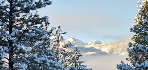 Views from the deck