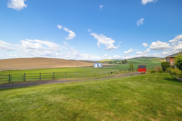 View From the home.