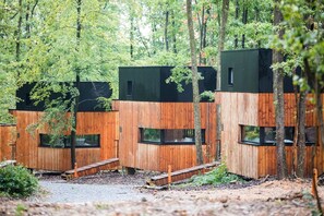 Immediate Surroundings [summer] (&lt;1 km)