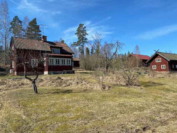 Exteriör