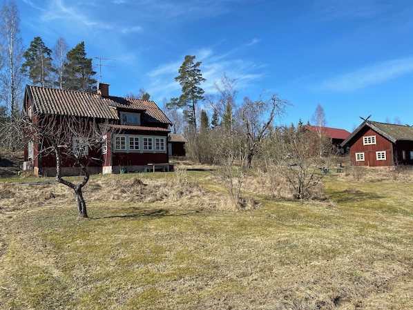 Exteriör