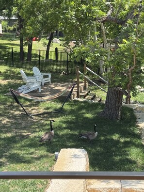 Property grounds
