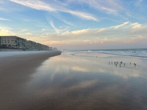 Beautiful beach walks and views!