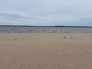 ビーチ