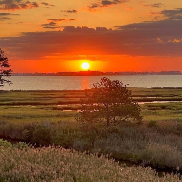 ,Sun Rise,