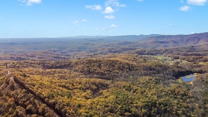 Aerial View of Surrounding Forest