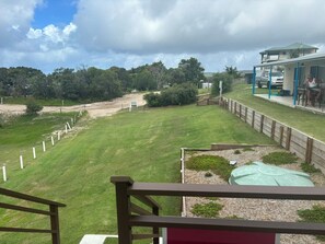 IMG 0243