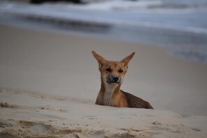 IMG 8820
