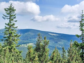 Mountainous Landforms, Tree, Natural Environment, Mountain, Wilderness, Highland, Forest, Cloud, Hill