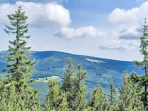 Bergforms, Baum, Natürlichen Umgebung, Berg, Wildnis, Hochland, Wald, Wolke, Hügel