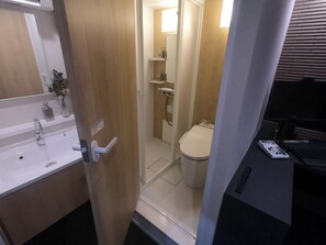 This room has a shower room only.