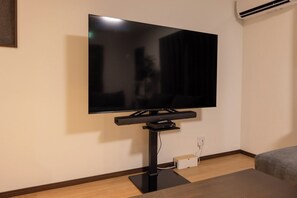 65-inch TV with internet video capabilities