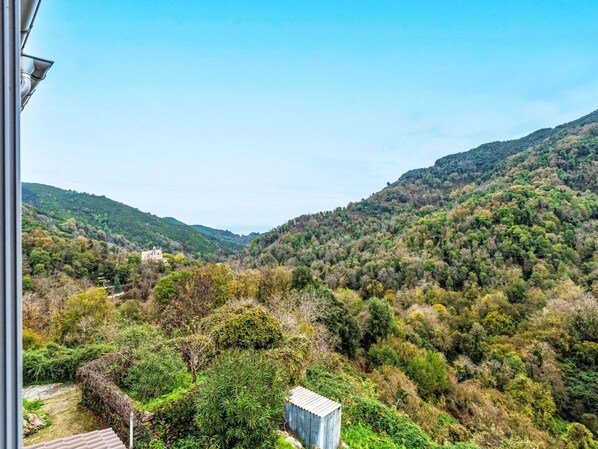 Sky, Plant, Property, Plant Community, Mountain, Cloud, Natural Landscape, Tree, Grass, Landscape