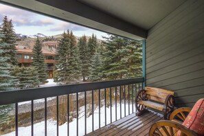 1.02-riverside-a103-telluride-living-room-deck(4)