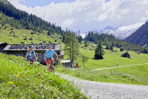 Dans la région [été] (&gt;5 km)