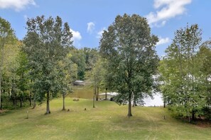The views from the back porch.