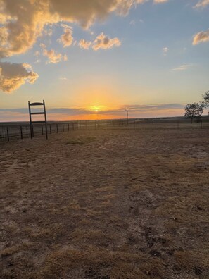 Captivating Sunsets