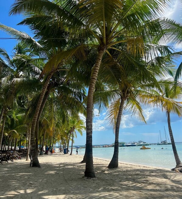 Strand