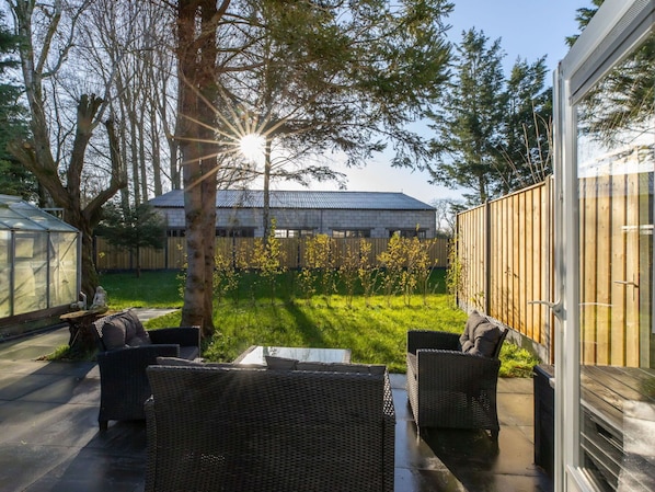 Holz, Grundstueck, Garten, Schatten, Hinterhof, Landscaping, Garten, Gartenmöbel, Gartenbauten, Hof
