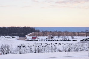 A View looking on the property from the road nearby