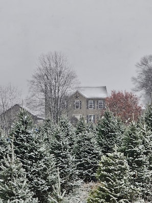 Front view of the house in a Winter Wonderland
