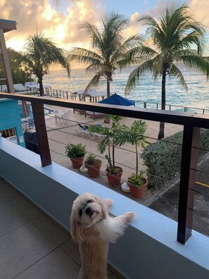 Sunrise view from the patio