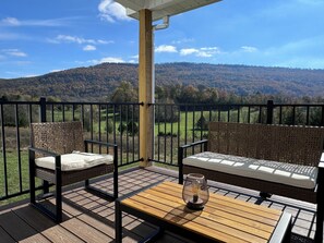Covered Back Porch: Mountain Views!
- Outdoor Seating
