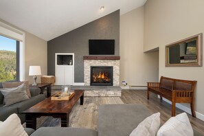 SWP Snowblaze C22 main living space