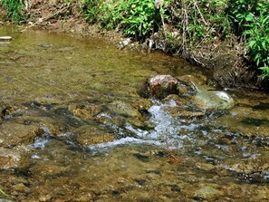 Cool mountain stream