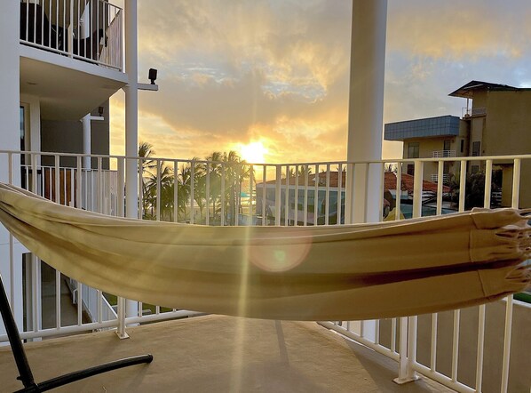 305 Hammock