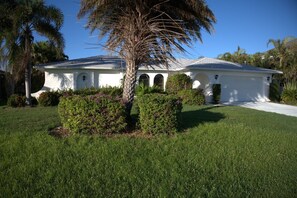 The tropical garden !