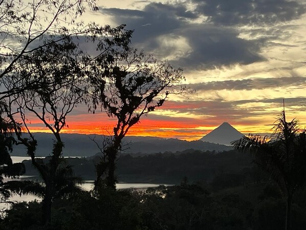 The view from your front patio