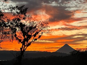 This is the view from the main house at sunrise!!!